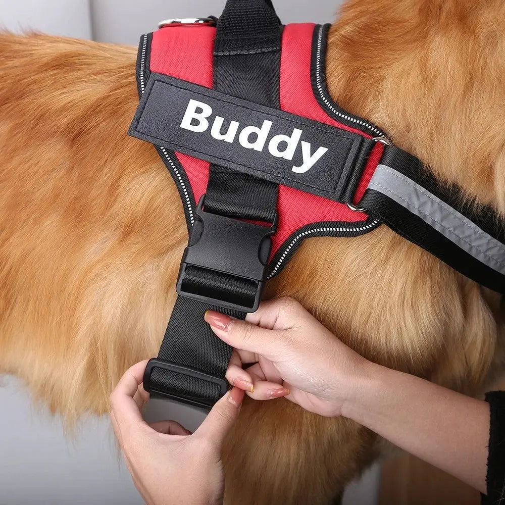 Dog Harness Purrfect Pet Supplies | Joyful Pets, Loving Homes